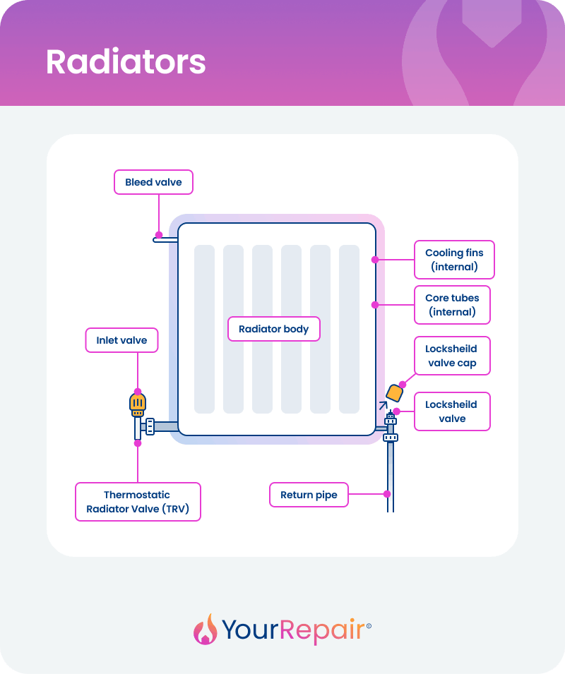 A YourRepair diagram titled 'Radiators', labelling 8 components of a standard household radiator: the bleed valve (top left), inlet valve and thermostatic radiator valve/TRV (bottom left), radiator body (centre), cooling fins and core tubes (both internal, right side), lockshield valve cap, lockshield valve (bottom right), and return pipe (bottom centre).