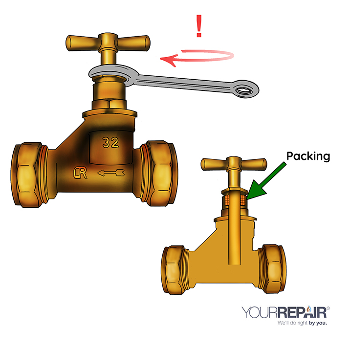 Leaking gland nut graphic