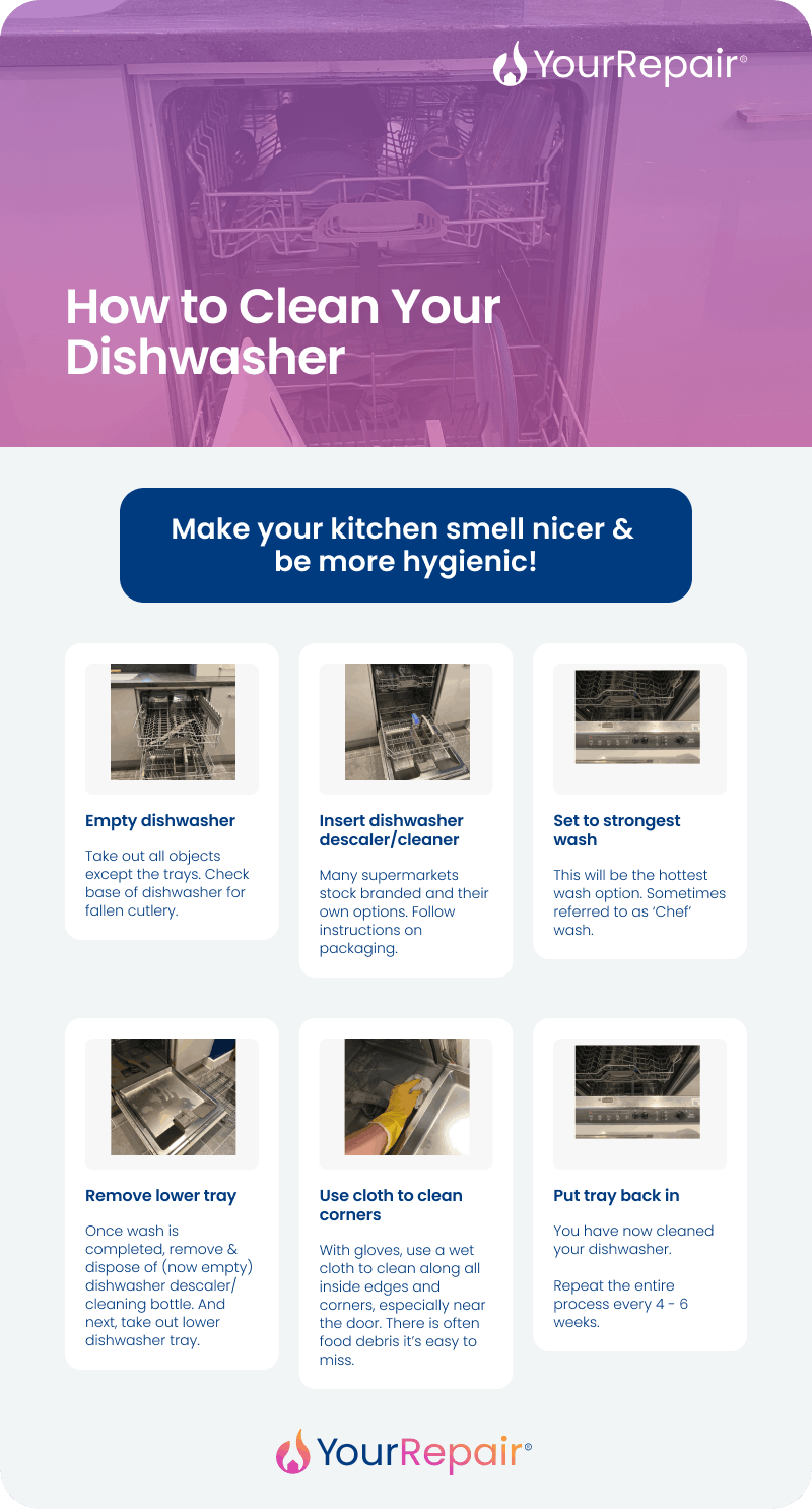 Infographic showing how to clean a dishwasher in 6 steps: empty it, add descaler, run hottest wash, remove tray, clean corners, replace tray. Infographic showing how to clean a dishwasher in 6 steps: empty it, add descaler, run hottest wash, remove tray, clean corners, replace tray.