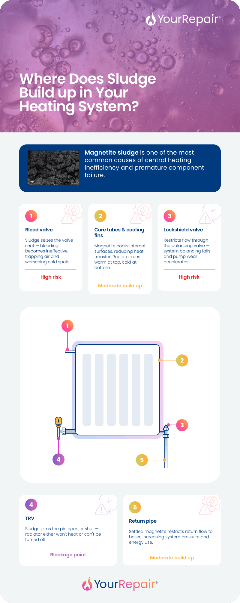 Radiator diagram showing 5 sludge hotspots &mdash; bleed valve, core tubes, lockshield valve, TRV, and return pipe &mdash; with risk ratings.