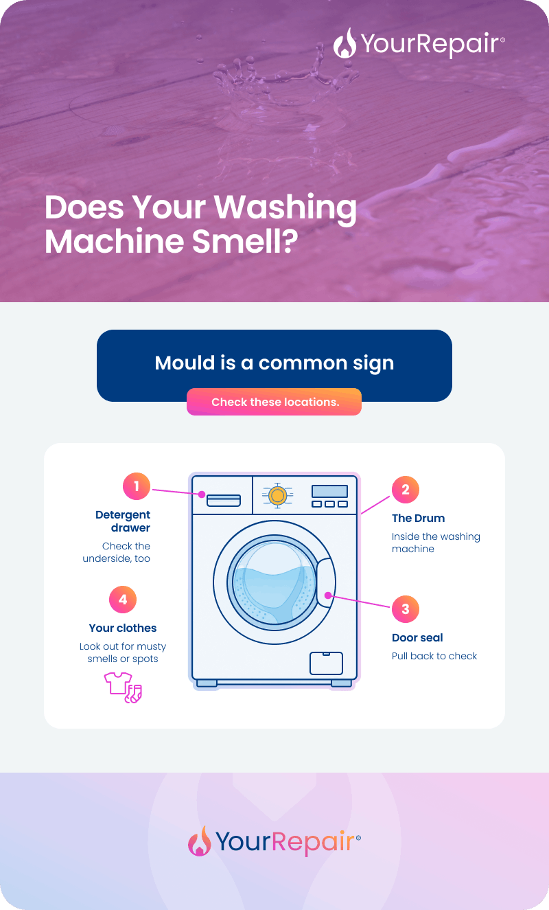 Infographic titled 'Does Your Washing Machine Smell?' showing a illustrated washing machine with arrows pointing to four mould hotspots: 1. The drum — inside the washing machine, 2. Door seal — pull back to check, 3. Detergent drawer — check the underside too, 4. Your clothes — look out for musty smells or spots. Infographic titled 'Does Your Washing Machine Smell?' showing a illustrated washing machine with arrows pointing to four mould hotspots: 1. The drum — inside the washing machine, 2. Door seal — pull back to check, 3. Detergent drawer — check the underside too, 4. Your clothes — look out for musty smells or spots.
