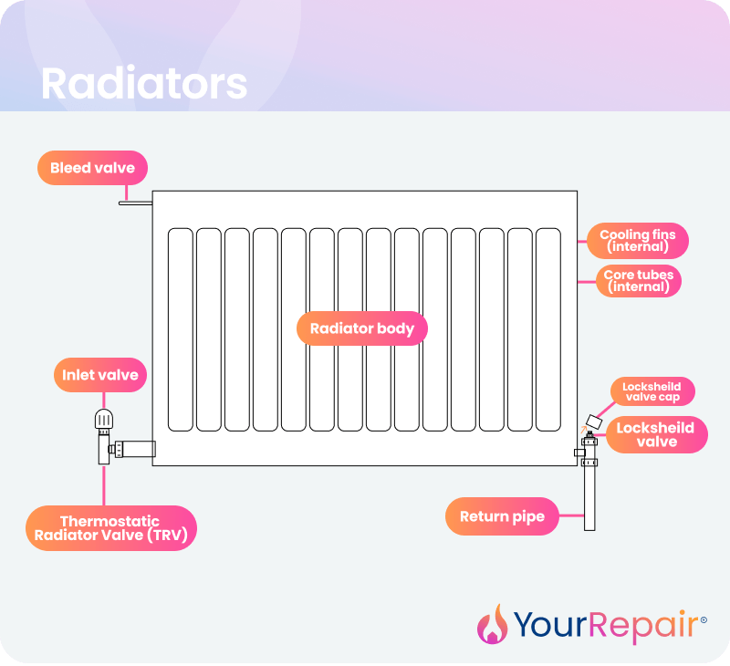 A YourRepair diagram titled 'Radiators', labelling 8 components of a standard household radiator: the bleed valve (top left), inlet valve and thermostatic radiator valve/TRV (bottom left), radiator body (centre), cooling fins and core tubes (both internal, right side), lockshield valve cap, lockshield valve (bottom right), and return pipe (bottom centre). A YourRepair diagram titled 'Radiators', labelling 8 components of a standard household radiator: the bleed valve (top left), inlet valve and thermostatic radiator valve/TRV (bottom left), radiator body (centre), cooling fins and core tubes (both internal, right side), lockshield valve cap, lockshield valve (bottom right), and return pipe (bottom centre).