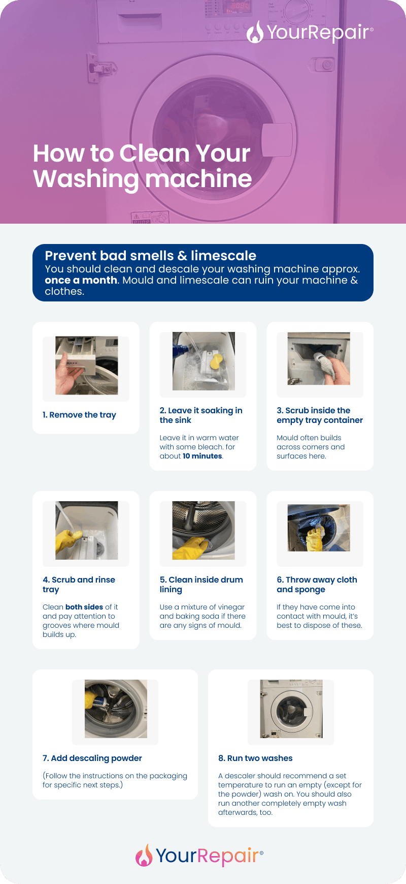 Infographic showing how to clean a washing machine in 8 steps: remove and soak the tray, scrub the container, clean the drum, add descaler, and run two empty washes. Infographic showing how to clean a washing machine in 8 steps: remove and soak the tray, scrub the container, clean the drum, add descaler, and run two empty washes.